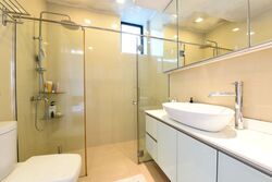 Spring Grove (D10), Condominium #472750601